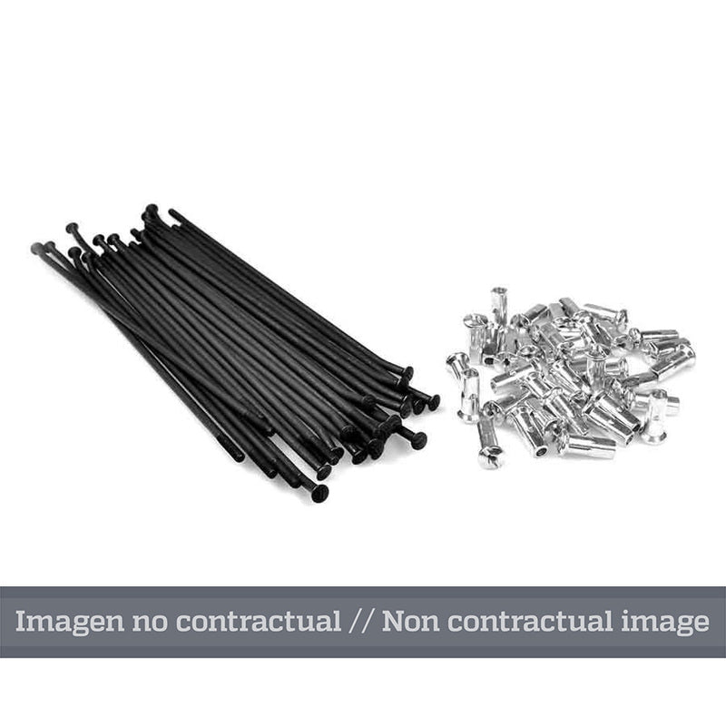 HAAN WHEELS 21" Speichensatz - 36 Speichen