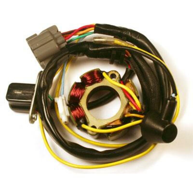 ELECTROSPORT Stator mit Magnetspule - Suzuki RM-Z250