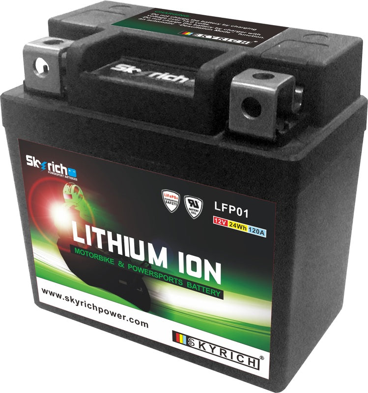 SKYRICH Lithium-Ionen-Batterie - LFP01