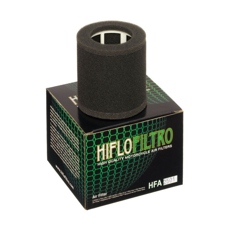HIFLOFILTRO Luftfilter - HFA2501