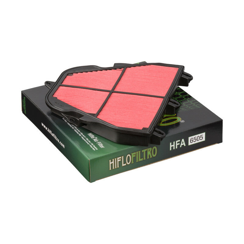 HIFLOFILTRO Luftfilter - HFA6505