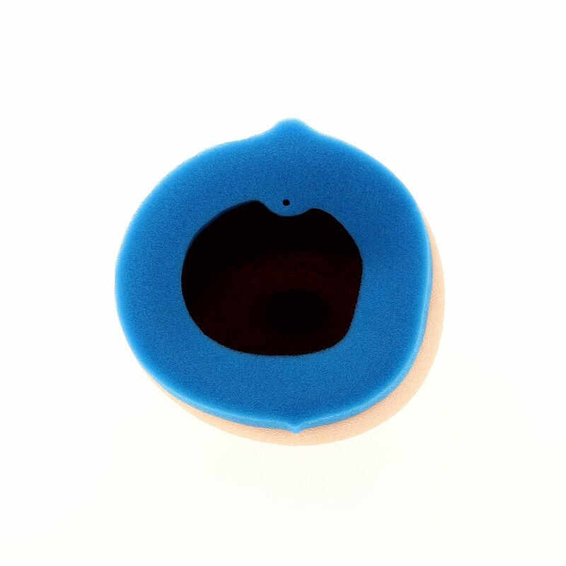 TECNIUM Luftfilter - 5330