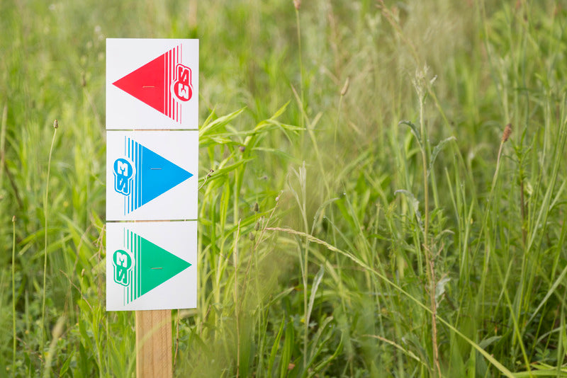 S3-Signalpfeile Grün 50 Stück 12x12cm