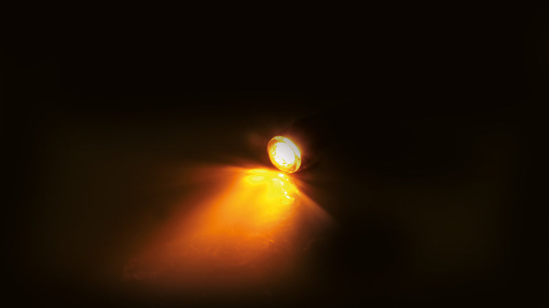 HIGHSIDER Proton 2in1 Modul LED Blinker/Positionslicht