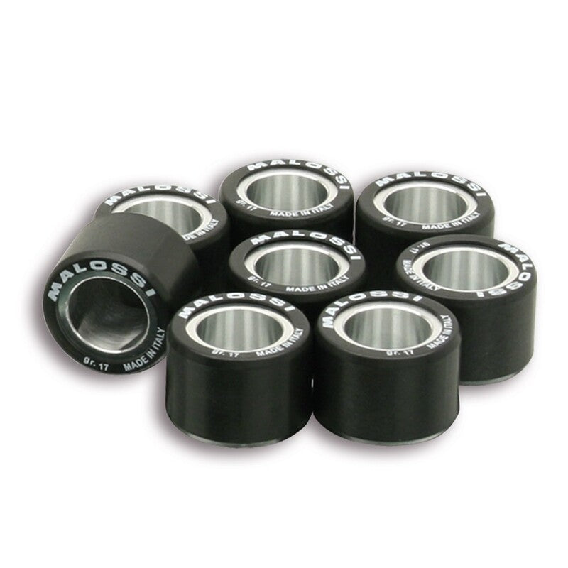 MALOSSI Satz Variomatrollen 25x19mm 18gr - 8-teilig