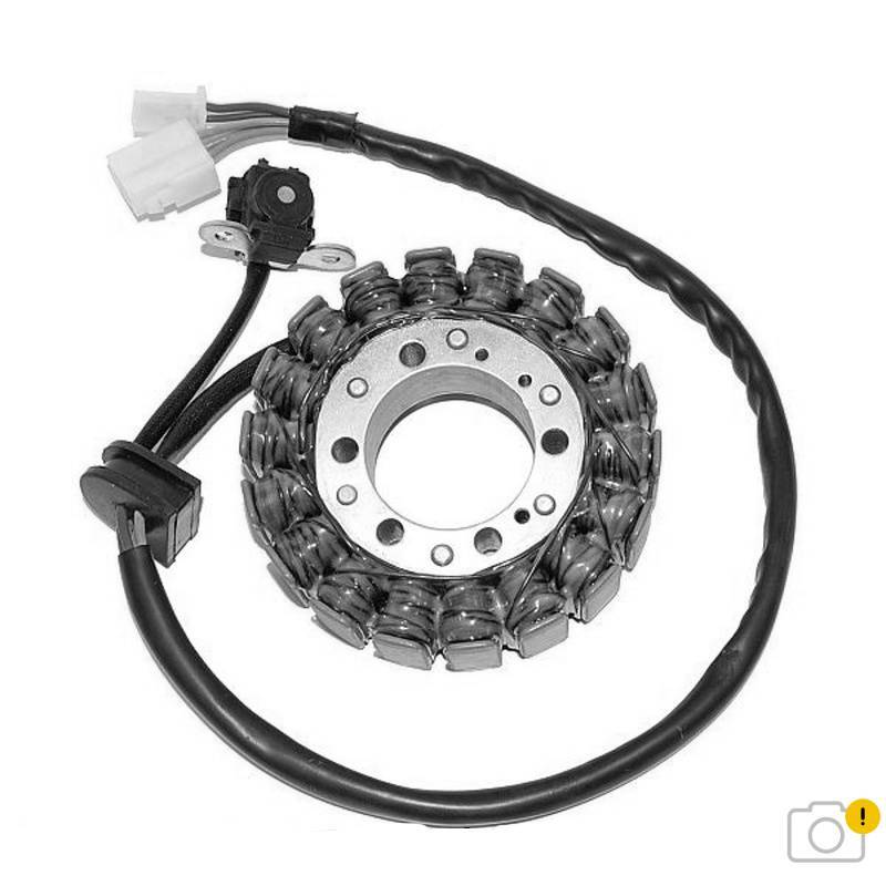 ELECTROSPORT Stator - Triumph