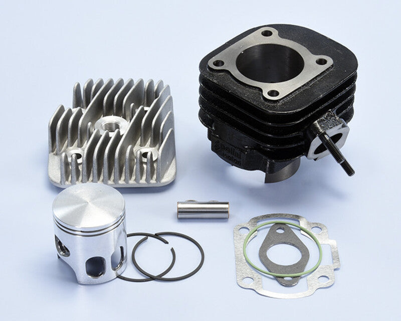 POLINI Zylindersatz CY50 Minarelli Malagutti F10 Pin 12mm