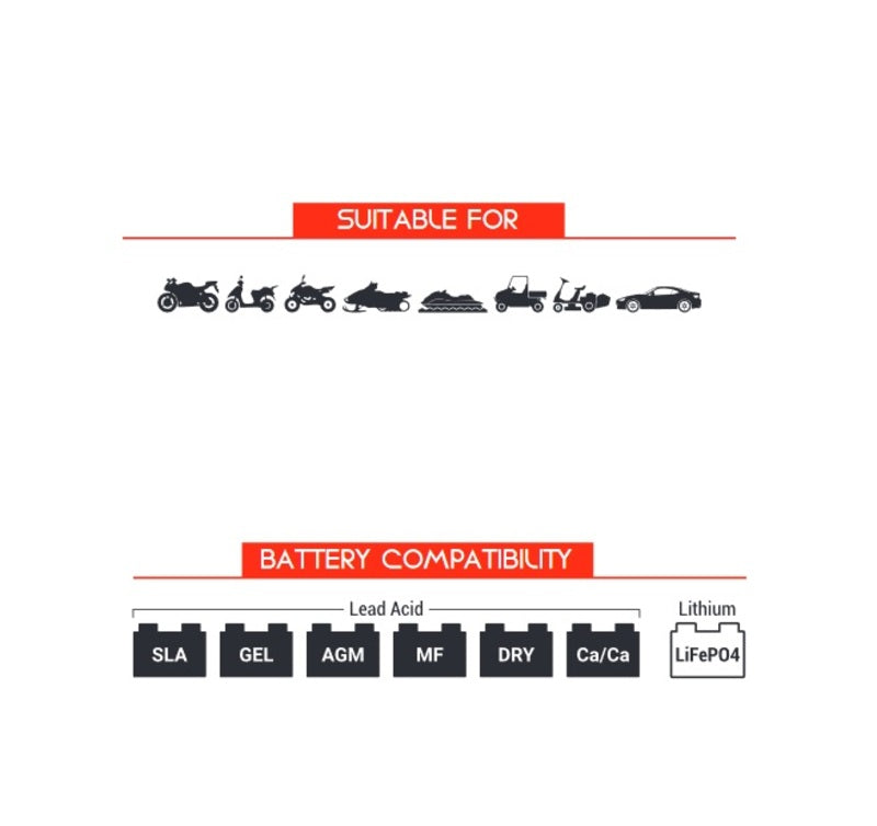 BS BATTERY PA-01 Batterie Anschlußklemmen mit Sicherung und Schnellverschluß 20 Stck.