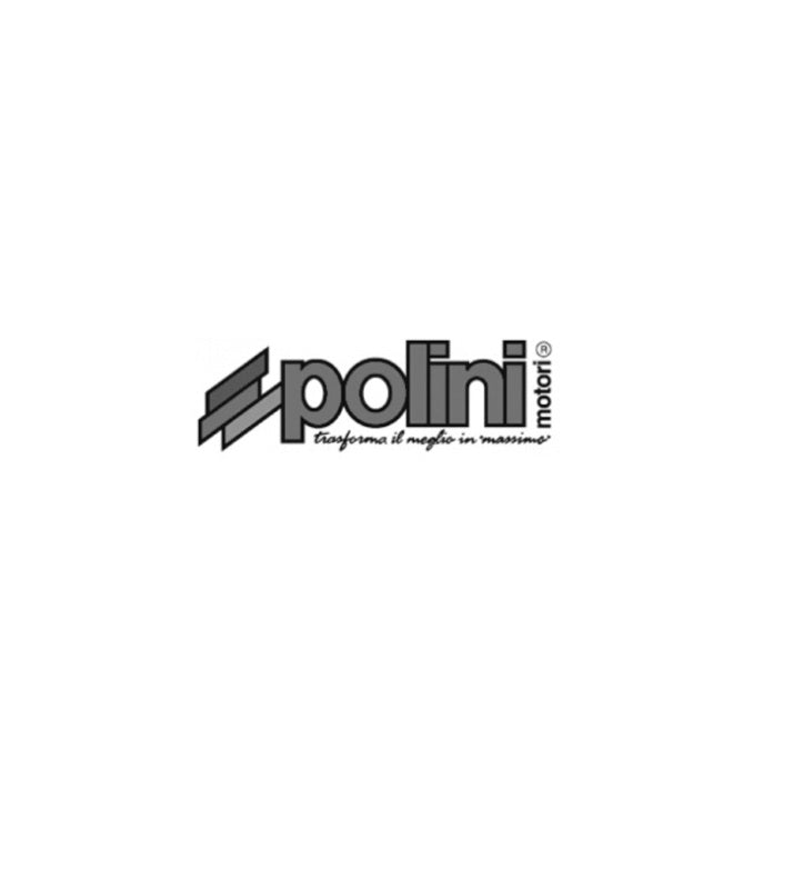 POLINI Kolbenring 46x1.5