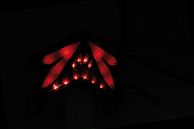 HIGHSIDER smart LED Rücklicht für KAWASAKI NINJA ZX-6 R, Z 800