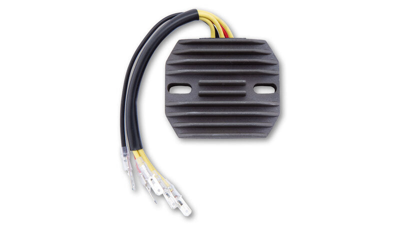 ELECTROSPORT Regler ESR 130 Suzuki GS Serie