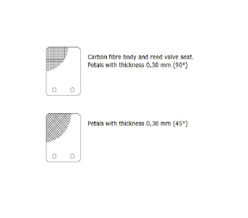 MALOSSI-Carbon Membran VL13, Dicke 0,30 mm (45°)
