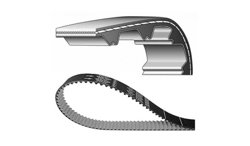 DAYCO Zahnriemen