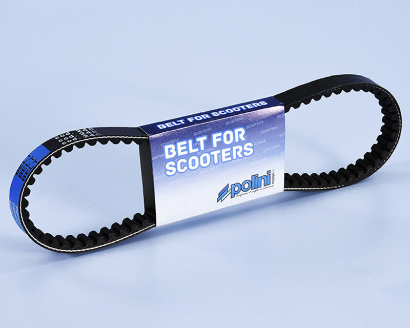 POLINI Variator Belt