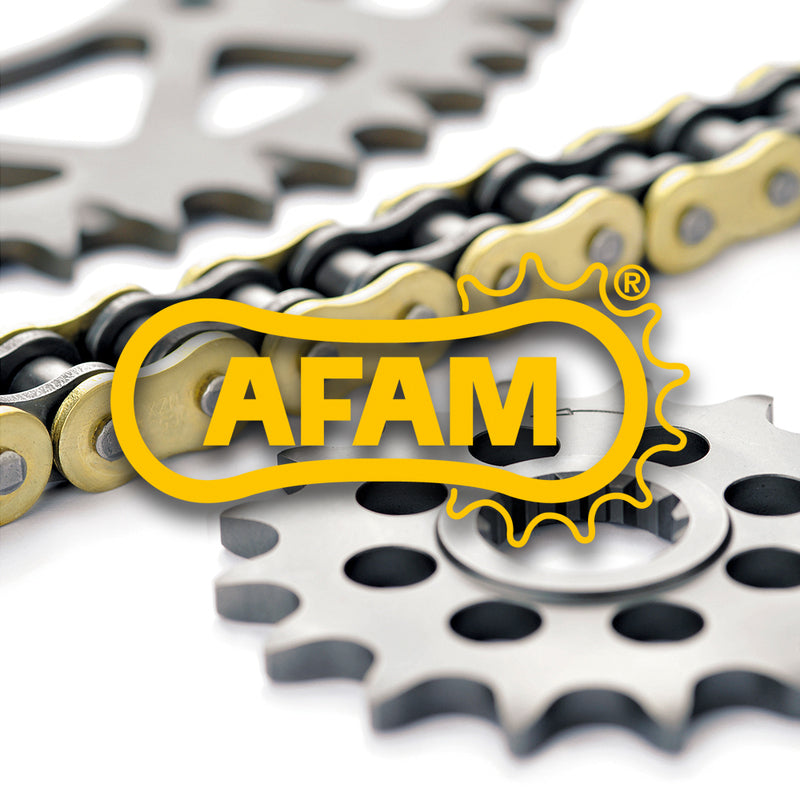 AFAM Kettenkit 520 XSR4 - 17/41-114 - Standard Kettenrad Stahl