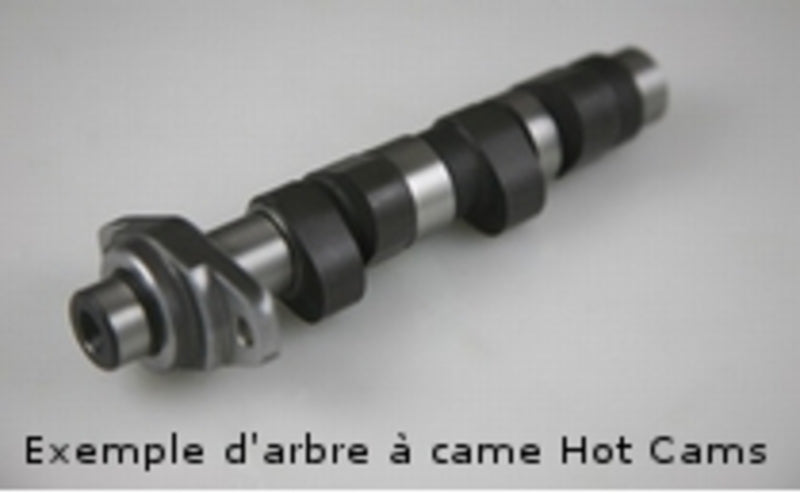 HOT CAMS Nockenwelle - Stage 2 Polaris
