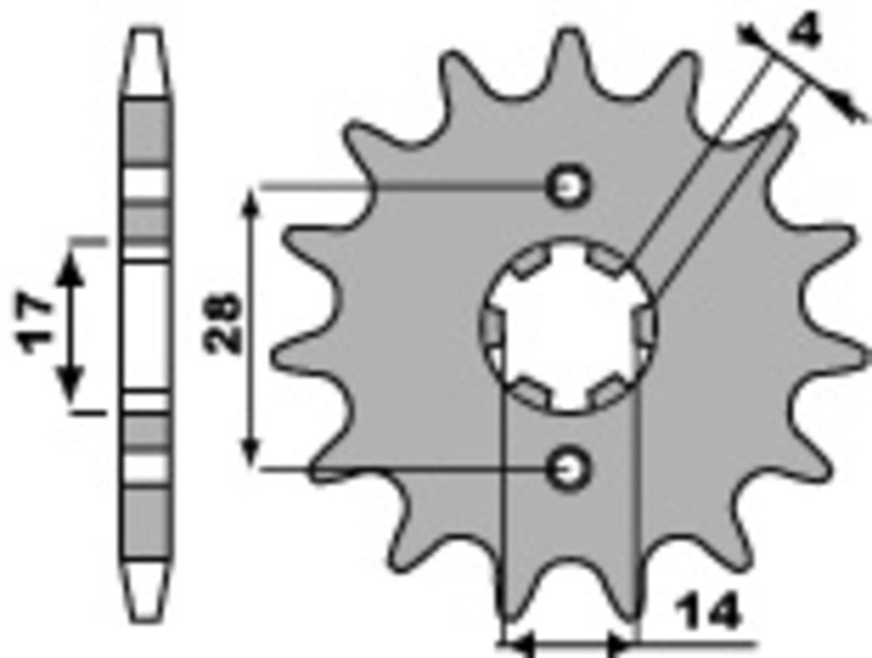 PBR Standard Stahlriztel vorne 2107 - 420