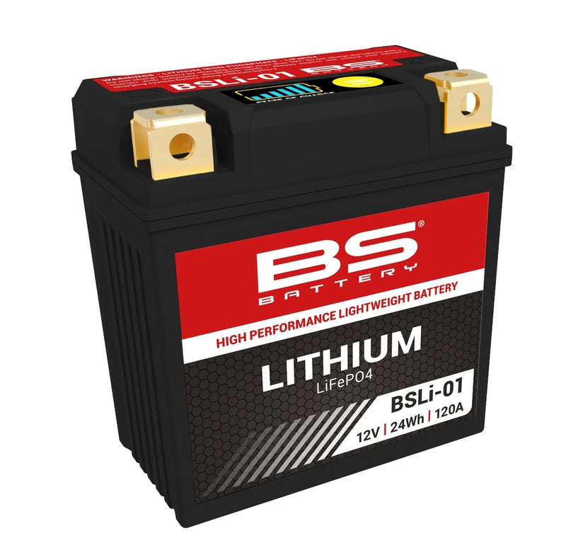 BS BATTERY Lithium-Ionen-Batterie - BSLI-01