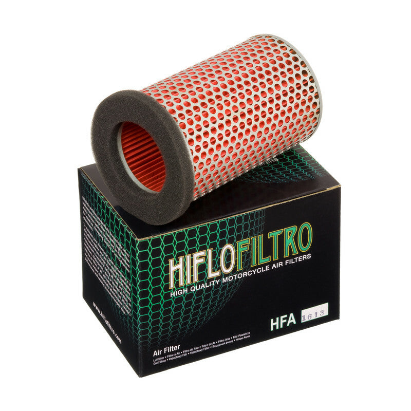 HIFLOFILTRO Luftfilter - HFA1613