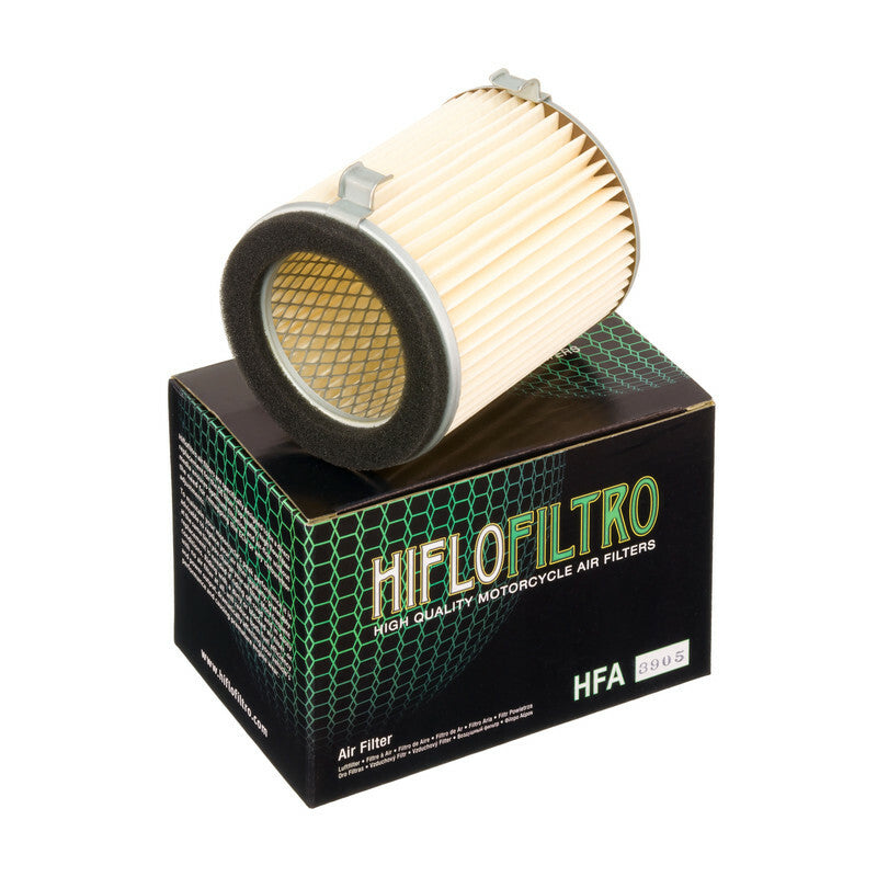 HIFLOFILTRO Luftfilter - HFA3905