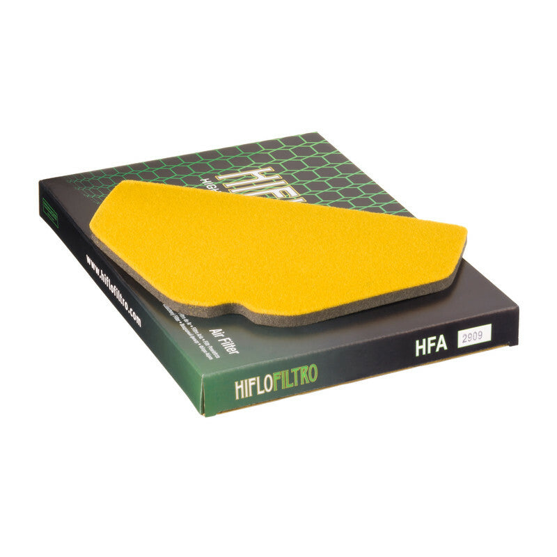 HIFLOFILTRO Luftfilter - HFA2909