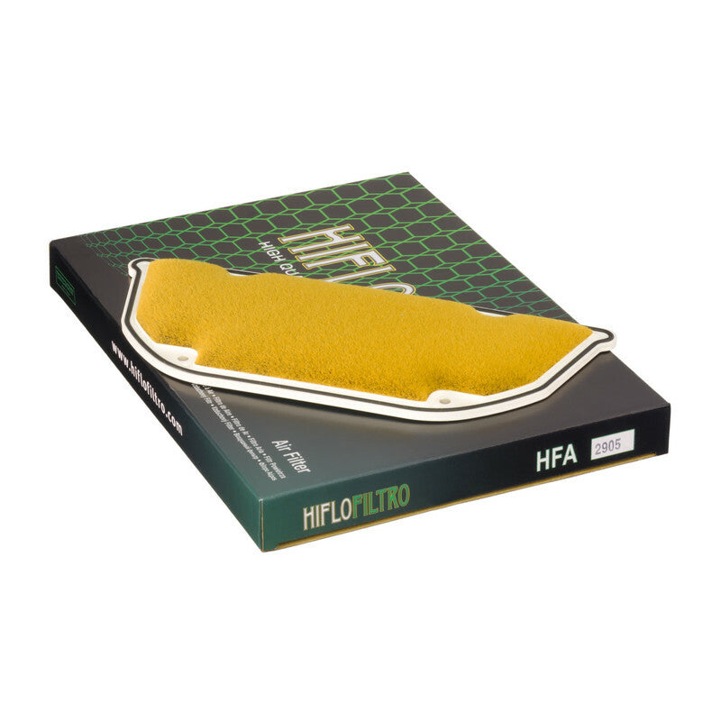 HIFLOFILTRO Luftfilter - HFA2905