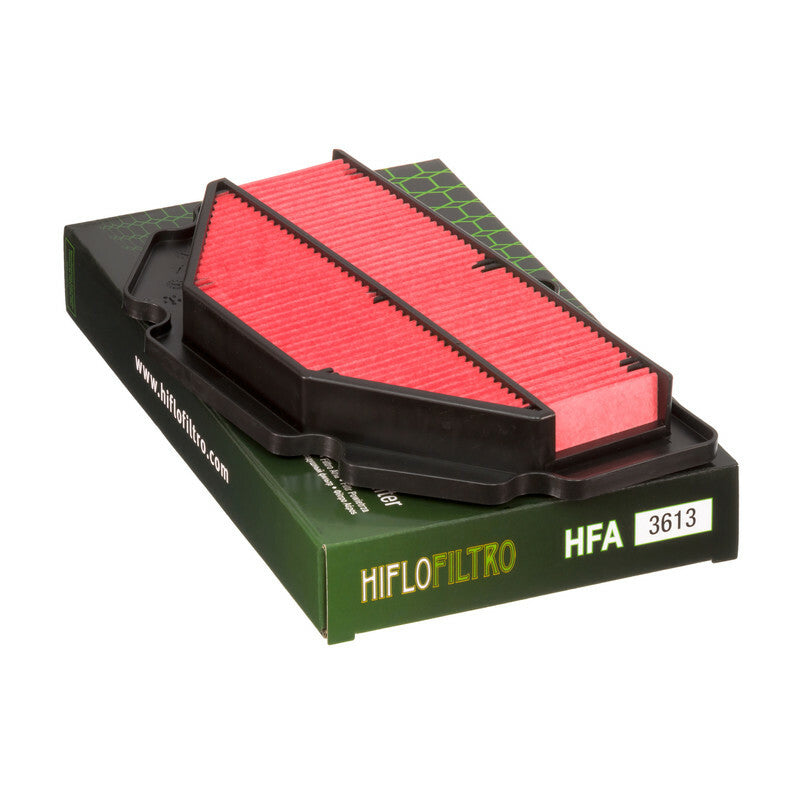 HIFLOFILTRO Luftfilter - HFA3613