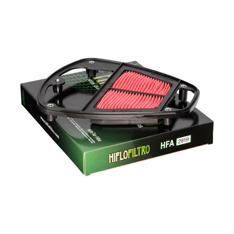 HIFLOFILTRO Luftfilter - HFA2919