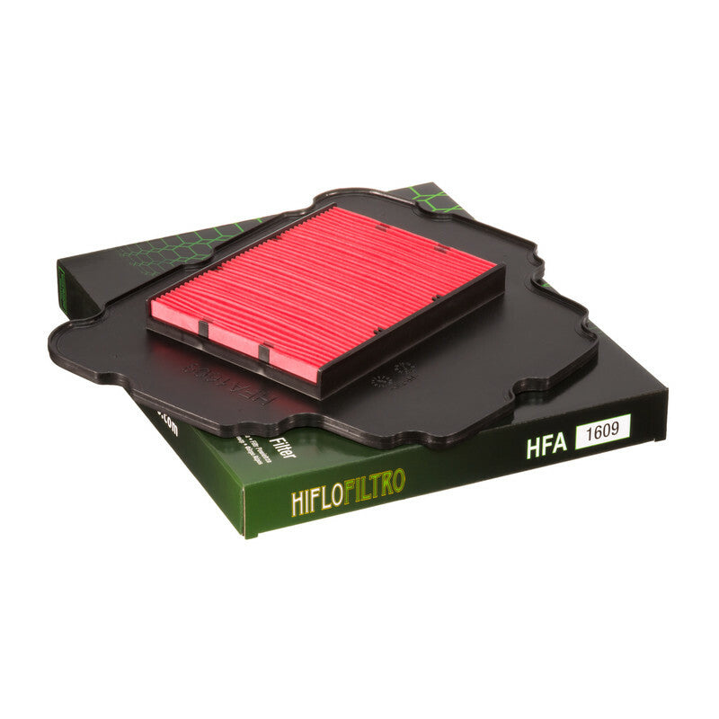 HIFLOFILTRO Luftfilter - HFA1609