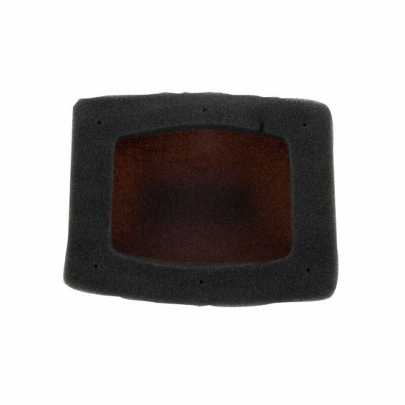 TWIN AIR Luftfiltersatz mit Halter - 157033C