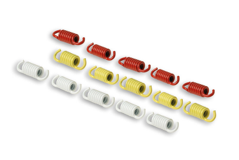 MALOSSI Racing Spring Set for OEM, Fly and Delta Clutches - 9 pieces