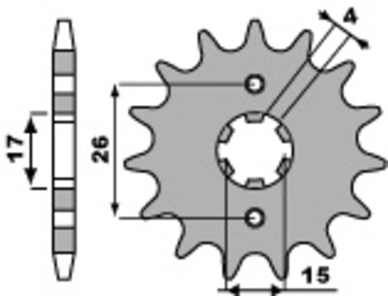 PBR Standard Stahlriztel vorne 261 - 420