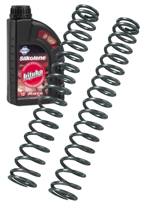 BITUBO lineare Gabelfedern Kit