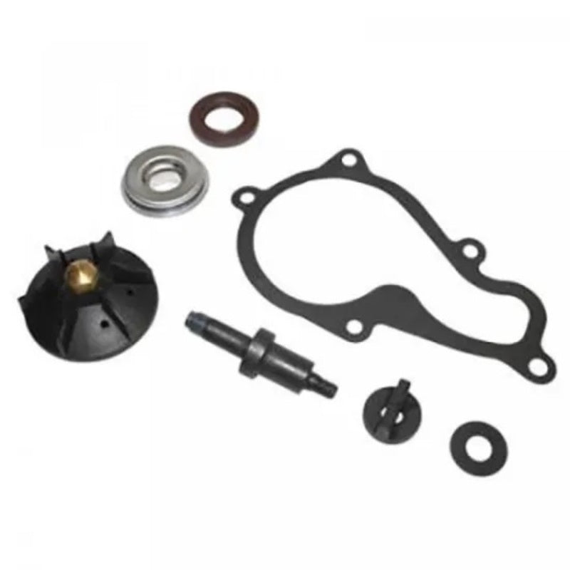 TOP PERFORMANCES Reparatursatz Wasserpumpe - Piaggio Beverly 350