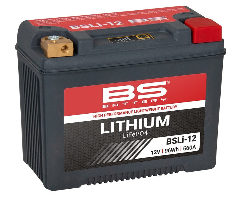 BS BATTERY Lithium-Ionen-Batterie - BSLI-12