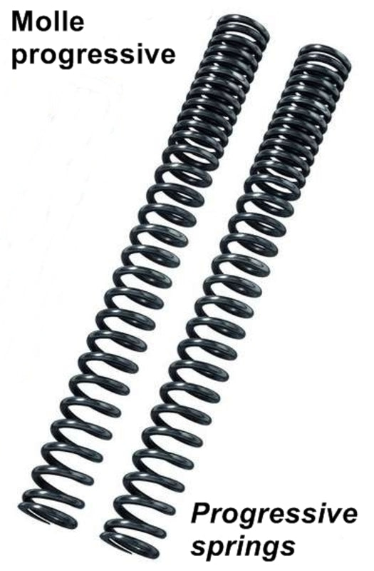 BITUBO MB02 Fork Spring Kit - with Oil