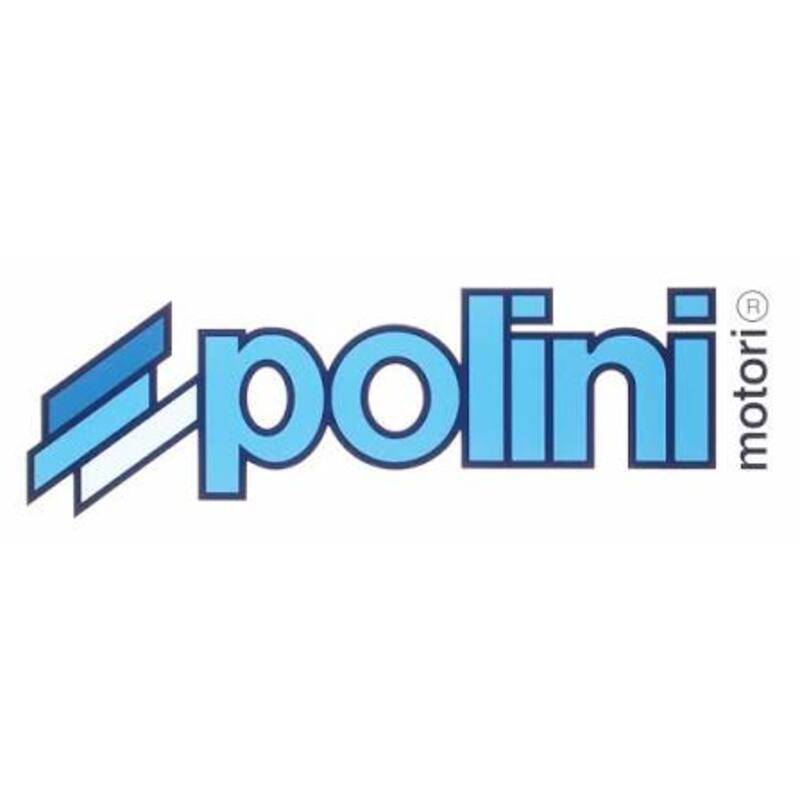 POLINI Motherboard for E-P3 motor