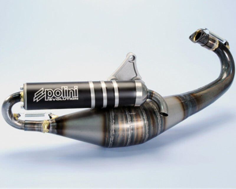 POLINI