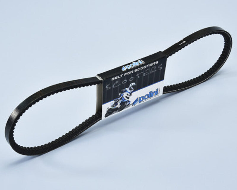 POLINI Antriebsriemen mit Variator
