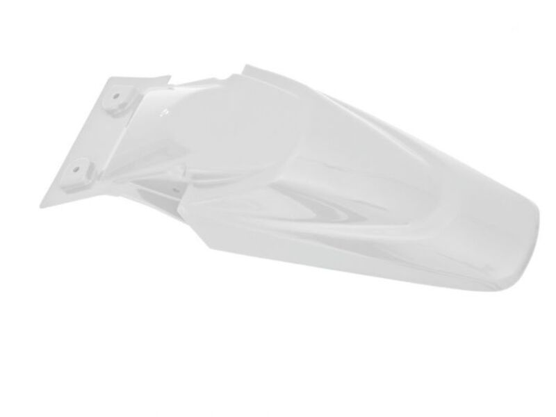 RACETECH Kotflügel hinten