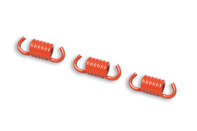 MALOSSI 3 Kupplungsfedern Rot  ø 2 Racing für Kupplungen Delta und Fly Clutch