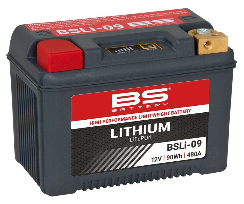 BS BATTERY Lithium-Ionen-Batterie - BSLI-09