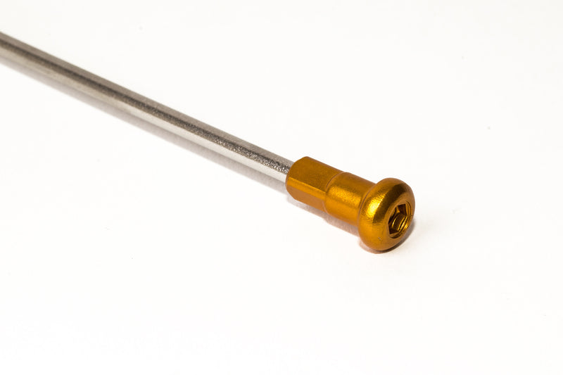 HAAN WHEELS Speichennippel-Set - gold