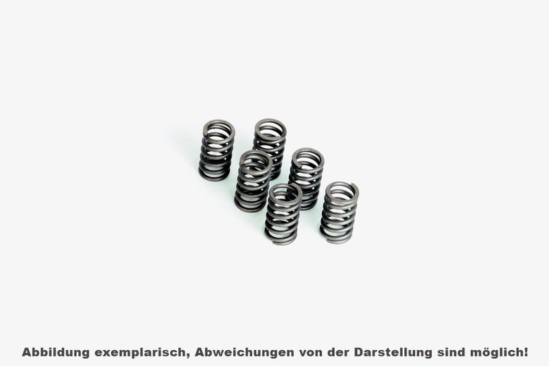 FERODO Kupplungsfedernsatz FSS0518