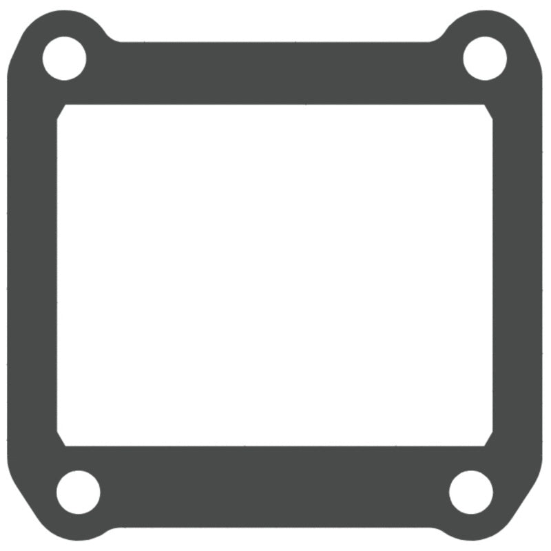 VFORCE Membrandichtung - 2 Stck.
