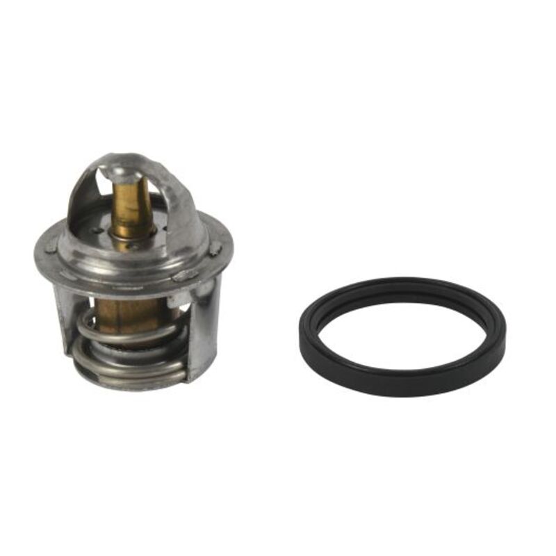 ALL BALLS Thermostat