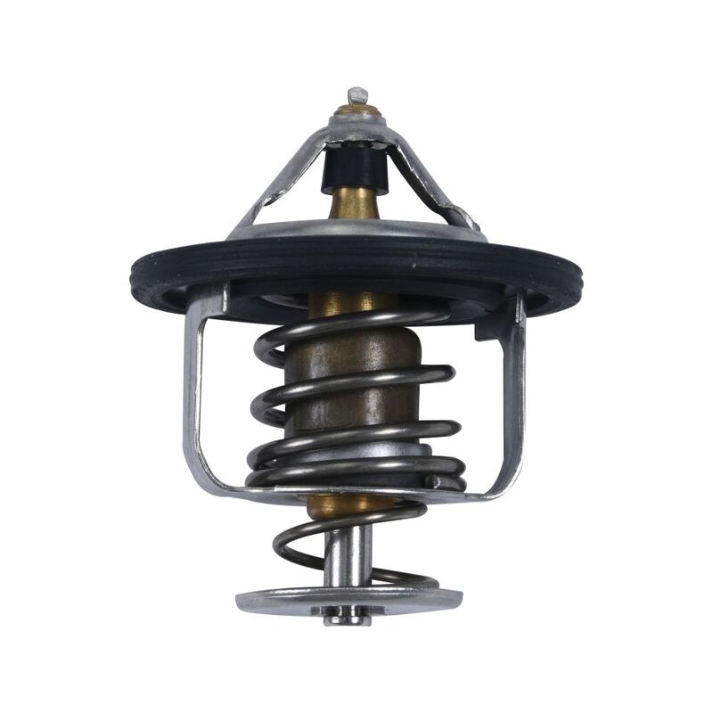 ALL BALLS Thermostat