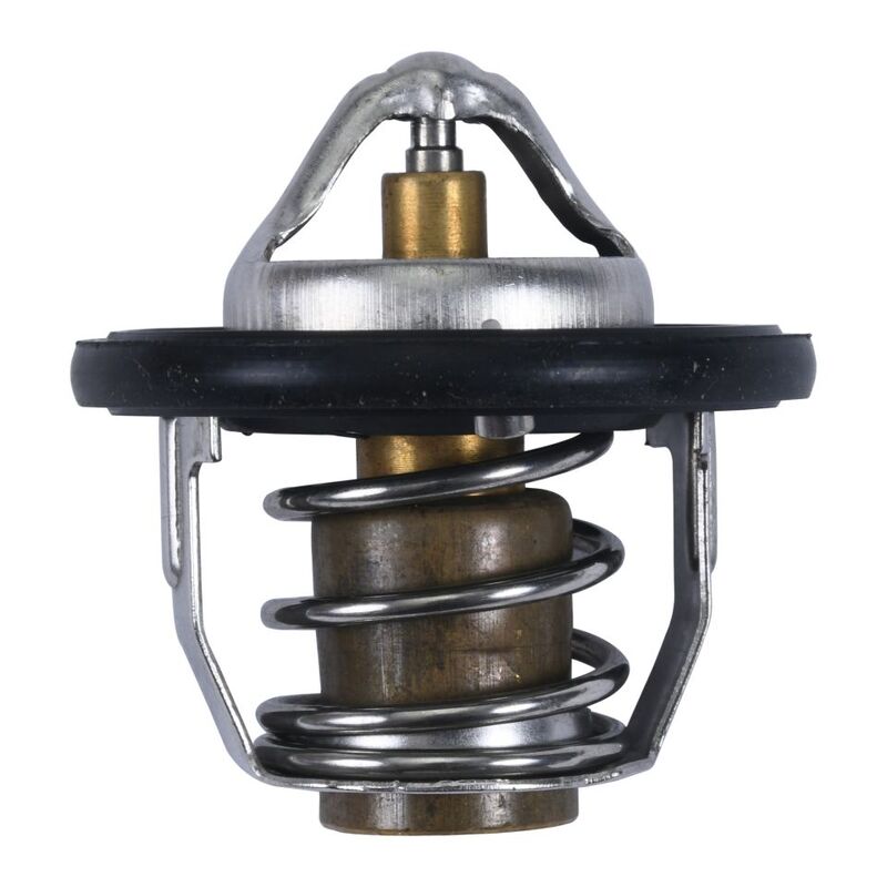 ALL BALLS Thermostat