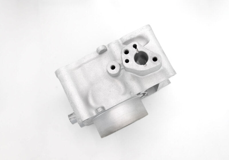AIRSAL Zylinder-Kit Grauguss Ø 53,5