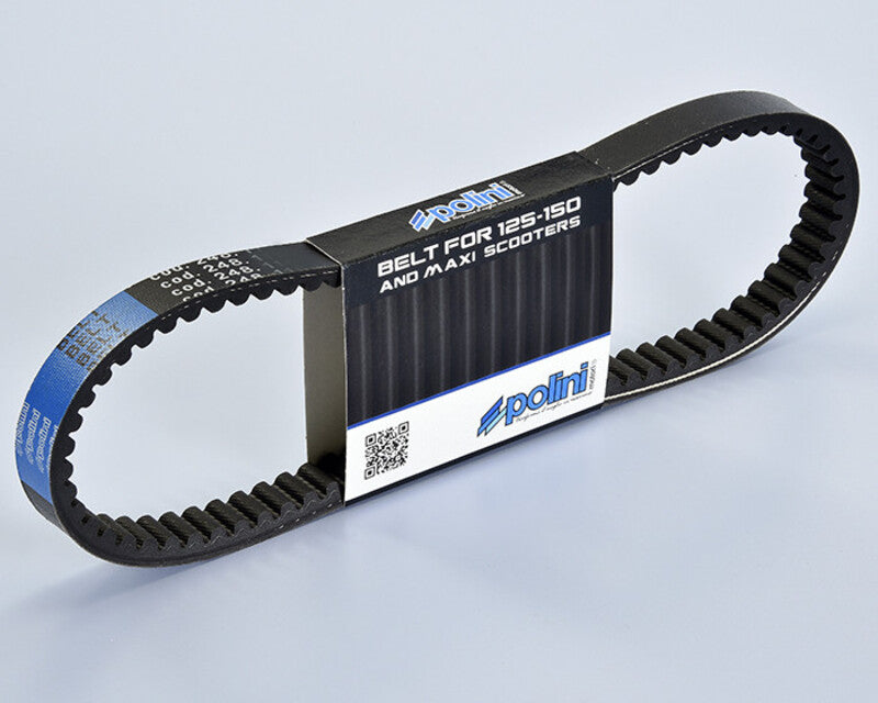 POLINI Variator Belt